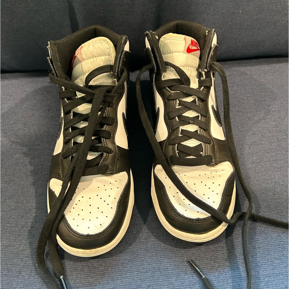 Panda Nike Dunks